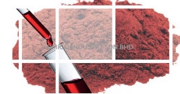 cranberries 2
