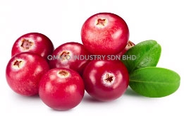 cranberries