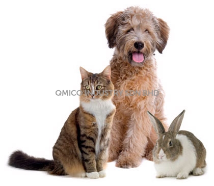 dog cat 9