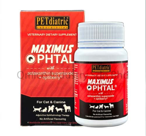 maximus ophtal