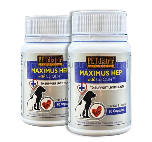 maximus-hep